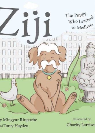 Ziji | The Puppy Who Learned to Meditate